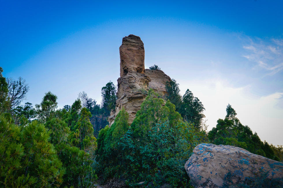 冬天来合阳，赏万顷芦荡，候鸟齐飞（组图）