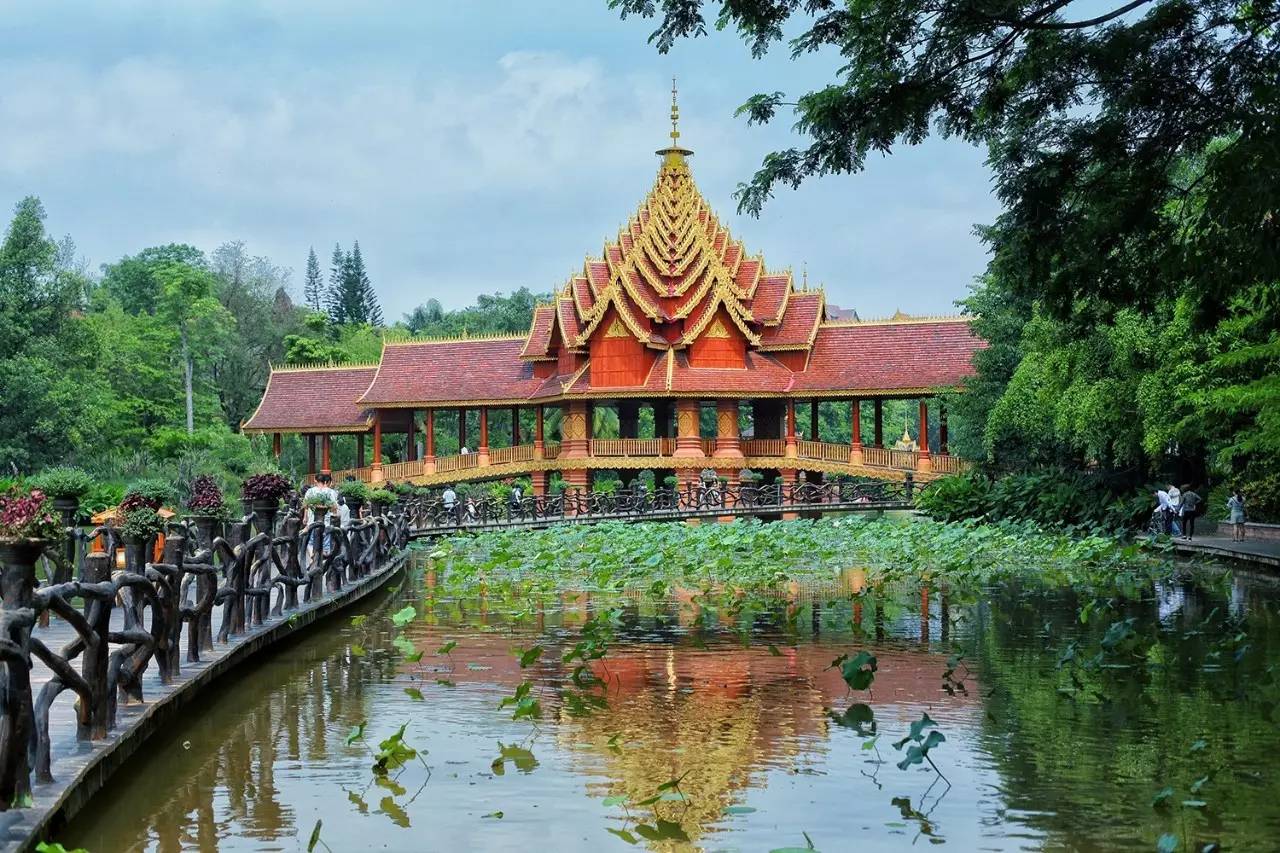 徐千雅彩云之南西双版纳,彩云之南云南西双版纳景色