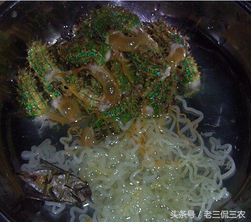 洋辣子真的好吃吗,洋辣子到底有多好吃