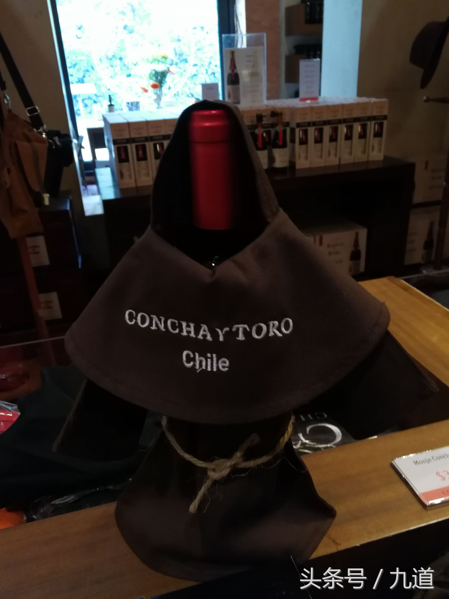 智利佳美娜酒,智利佳美娜品牌推荐