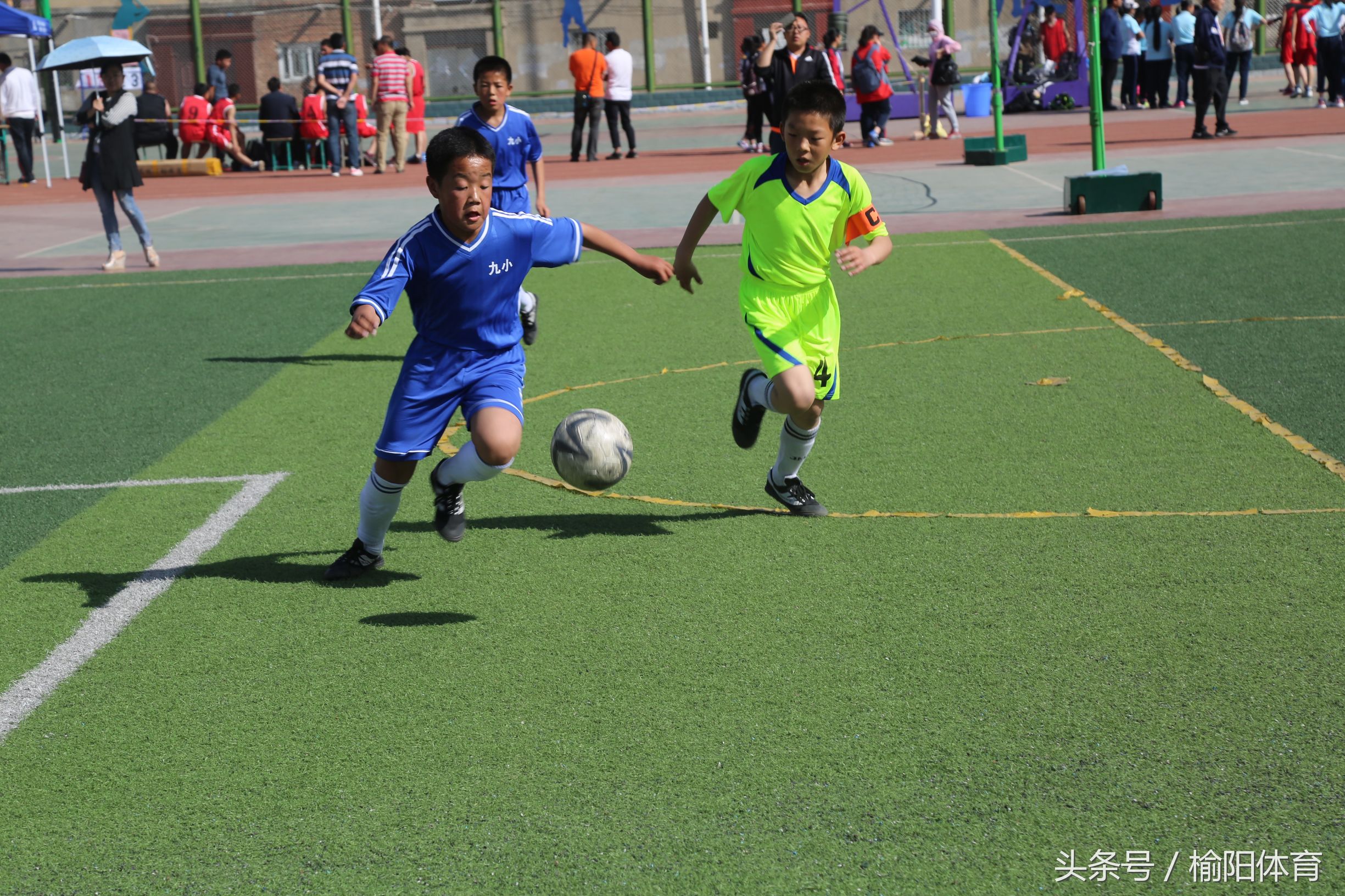 榆阳区中小学生运动会运动项目,榆林市中小学生研学实践活动