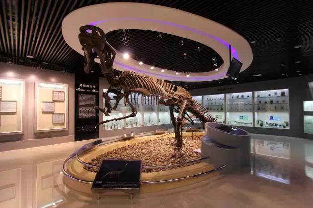 黑龙江最好的师范大学排名,黑龙江省最牛的文科学校