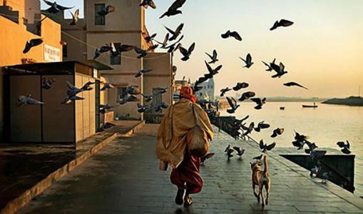 西安周末遛娃好去处推荐,西安本周末活动