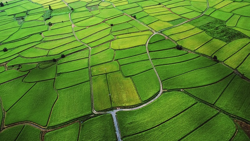 hkcg4plus显示器花屏,hkc的g40显示器评测