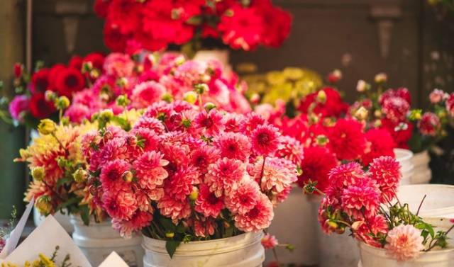 西雅图最浪漫的地方,西雅图一个充满文艺又浪漫的地方