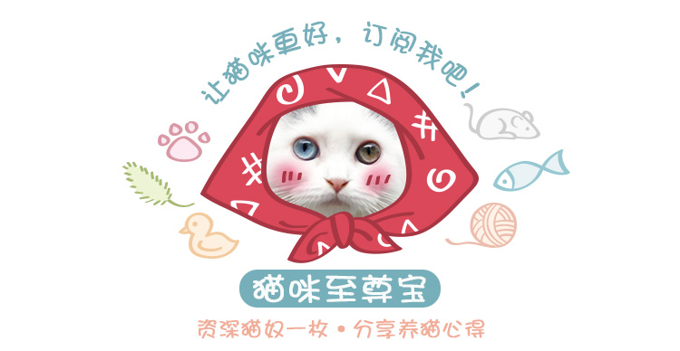 喵主子很烦恼,御赐铲屎官之喵主子们的烦恼