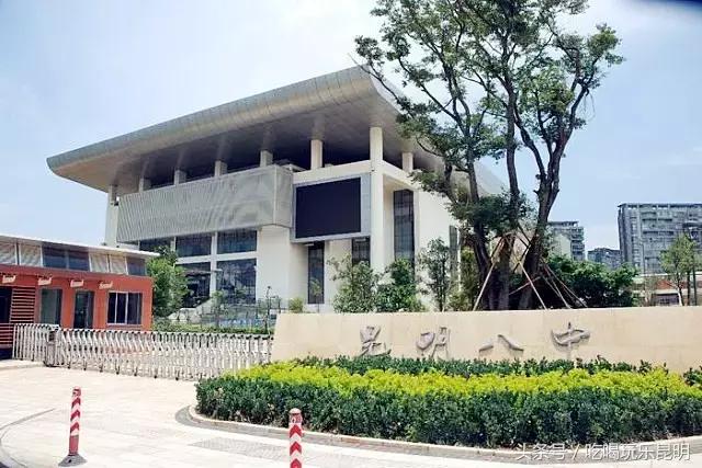 再见了龙狮城,再见了八年级