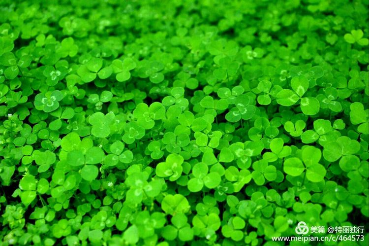 走过四季夏天最美,走过春夏美丽的秋冬