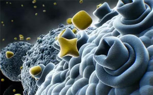 癌症治愈的新药,可以治疗癌症的一种机器