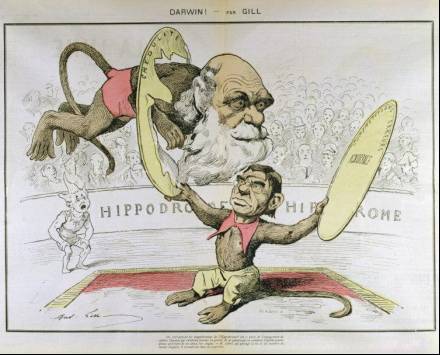 达尔文的进化论最出名的话,为何那么多人怀疑达尔文的进化论