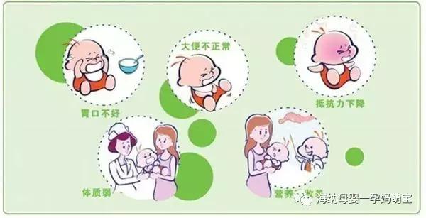 益生菌你真的了解它么,益生菌你真的了解吗