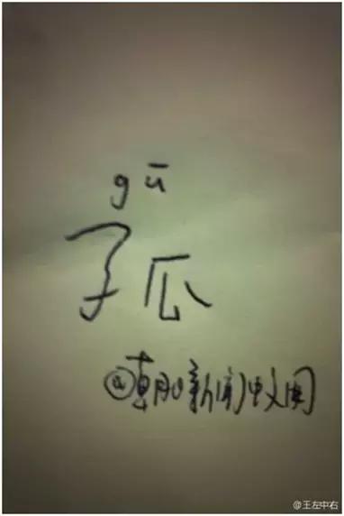 我知道的第一个字体大V是王左中右和他的“变态字”