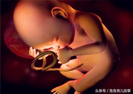 b超显示宝宝肾不一样大,b超多久能看清胎儿肾脏