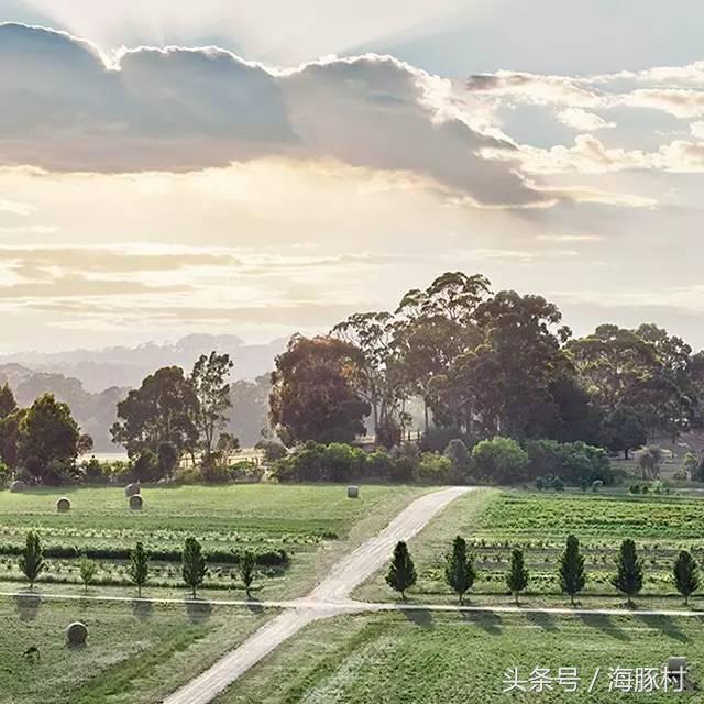 澳洲贵妇品牌大全 (好莱坞的贵妇品牌)