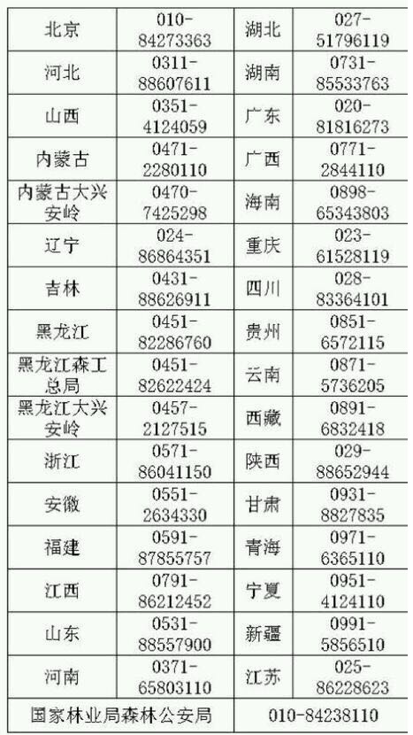 春季宠物怎么处理,宠物春季注意事项