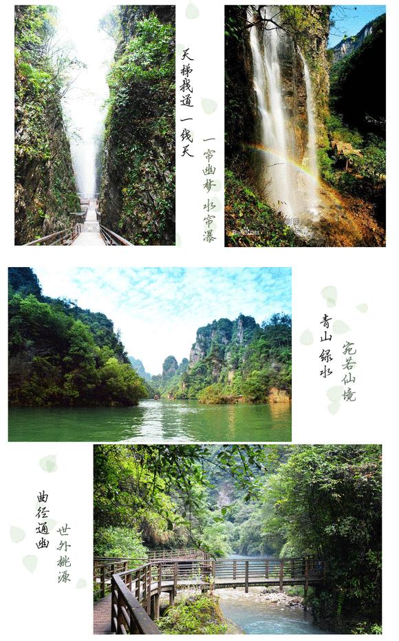 张家界玻璃桥大峡谷购票,张家界大峡谷玻璃桥能现场买票吗