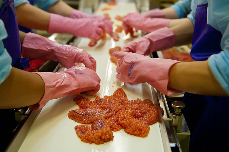 鱼子酱经典场面,带你探寻顶级鱼子酱的加工流程