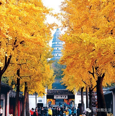 苏州最值得去的五个景点,苏州最值得去的10个景点排名