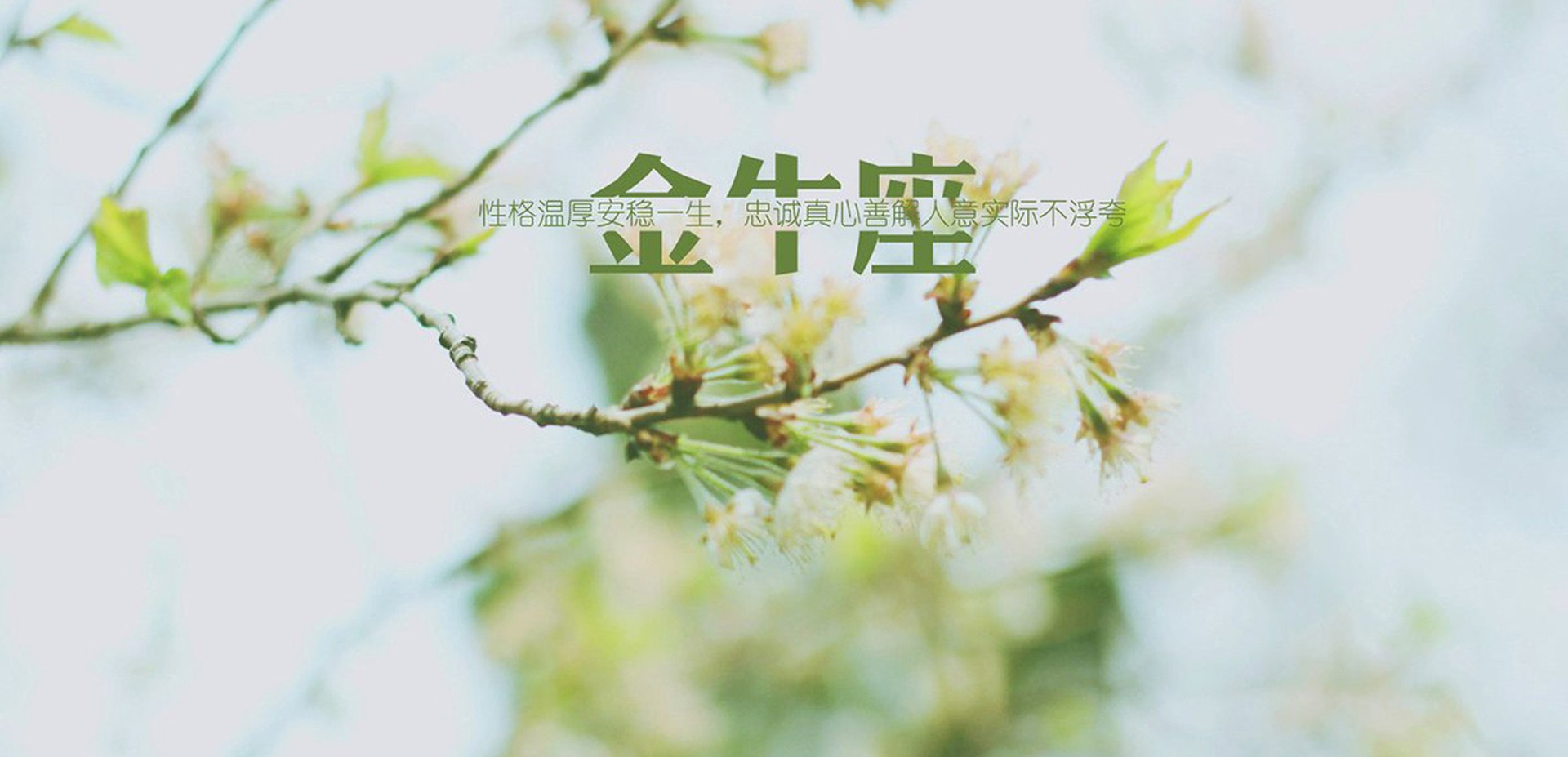 新年新香水,12星座的香囊颜色