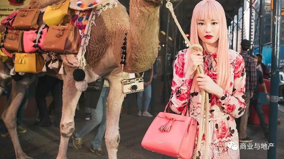 coach回收大概价格多少,coach收购katespade