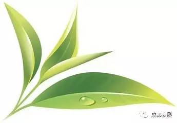 中国四川国际茶博会活动信息,四川茶叶博会