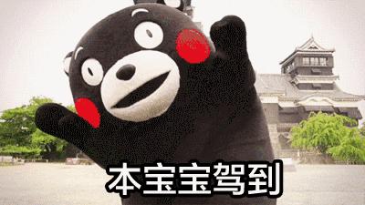 上海薰衣草节亲子嘉年华,薰衣草旅游节