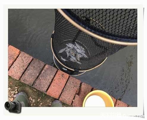 老地方钓鱼不好钓,五一抓鱼捕虾好去处