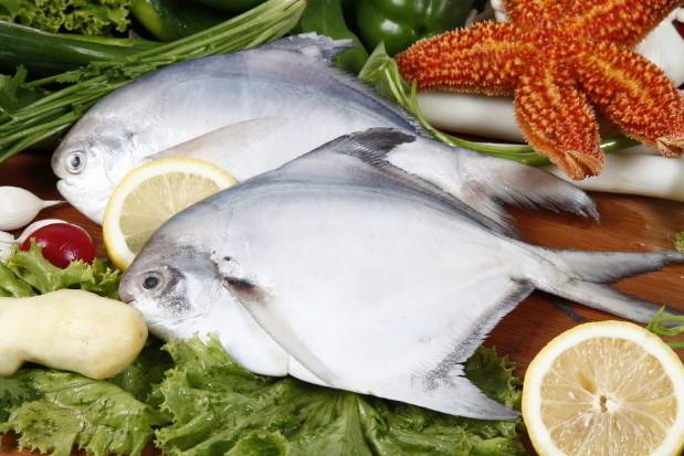 哈尔滨吃货，这8种你爱吃的海鲜全面禁售，活的冰鲜的统统不能卖