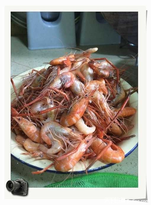 老地方钓鱼不好钓,五一抓鱼捕虾好去处