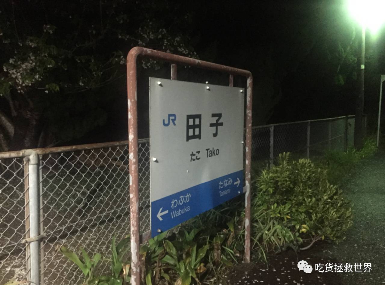 鎴戝湪妯辫姳灏忛晣,鍦ㄦū鑺遍鑸炵殑瀛ｈ妭