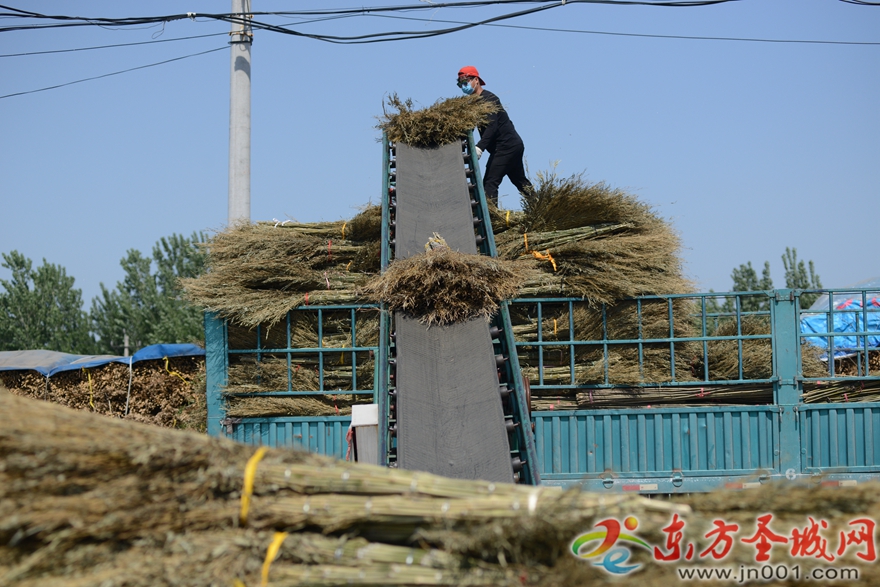 小扫帚勇闯大世界