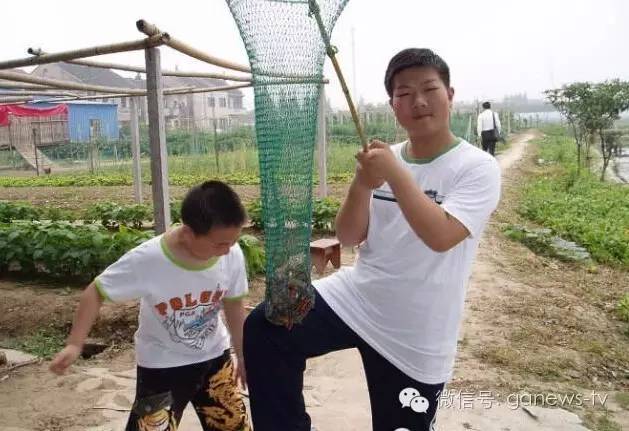 参加闸口大虾美食节的十个店,虾子镇美食节可以免费吃吗