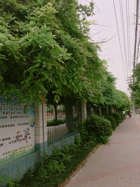 蚌埠三实小,蚌埠三实小是属于高新区么