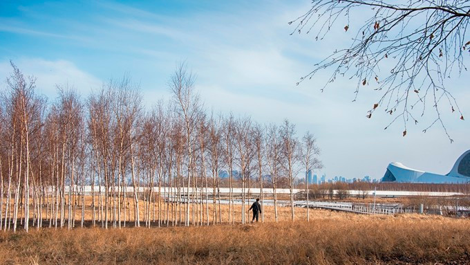 回忆哈尔滨老建筑,哈尔滨老建筑探访