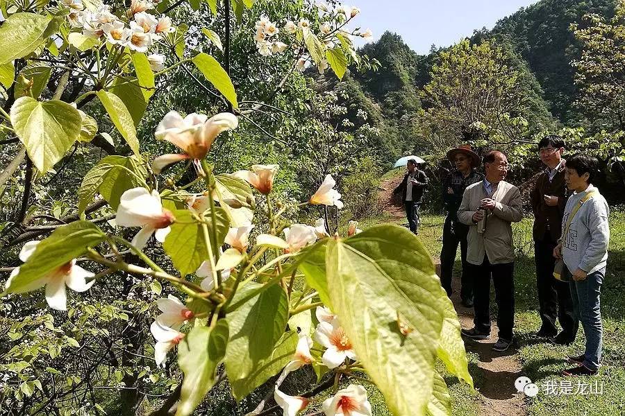 缇よ搐闆嗚仛,缇よ搐浜戦泦鍏辩瓚澶ф垚