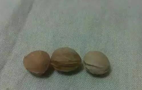 烟台吃小樱桃的地方,山东烟台绝对是吃樱桃的好地方