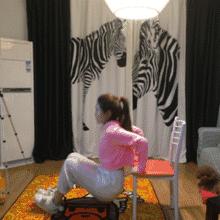 滚蛋吧肥肉君的视频,滚蛋吧肥肉君图片