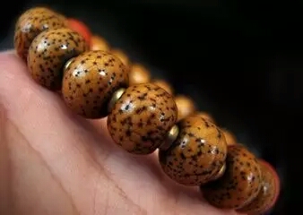 真正的星月菩提是什么样的,现在的星月菩提是真的吗