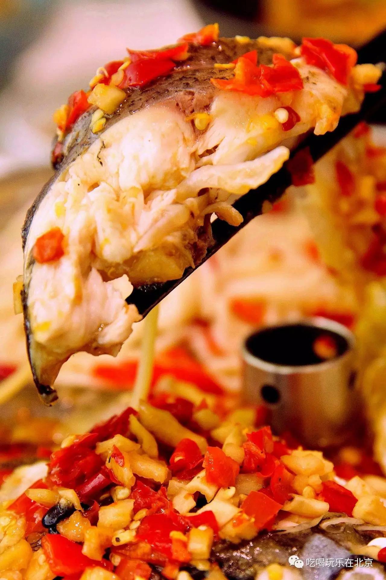 带上双鱼座就能免费吃,一年卖出1000000份的剁椒鱼头!