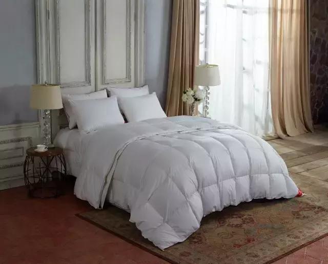 羽绒被的四个世界纪录