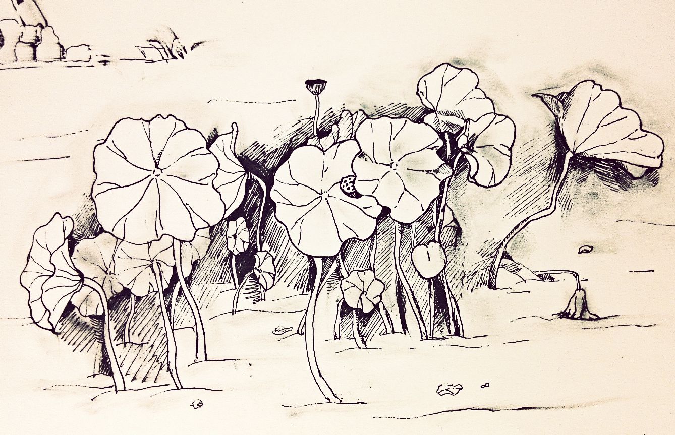 美术中考画室有哪些,中考考美术类有哪些学校