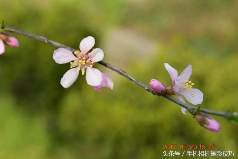 加了水印的图片是怎样的,加水印的照片怎么去除水印