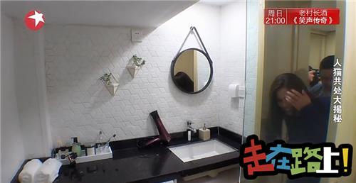 人猫共存空间设计,两只公猫两只母猫的房间怎么设计