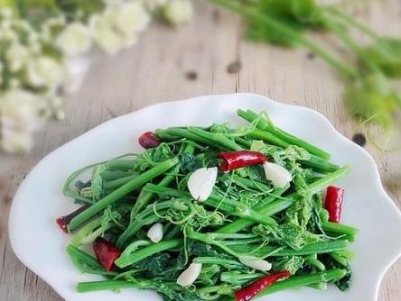 这才是真正的纯天然无公害蔬菜,一起来种菜纯天然绿色蔬菜