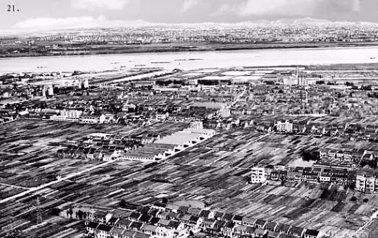 杭州为什么可以大规模拍地,杭州大规模拍地