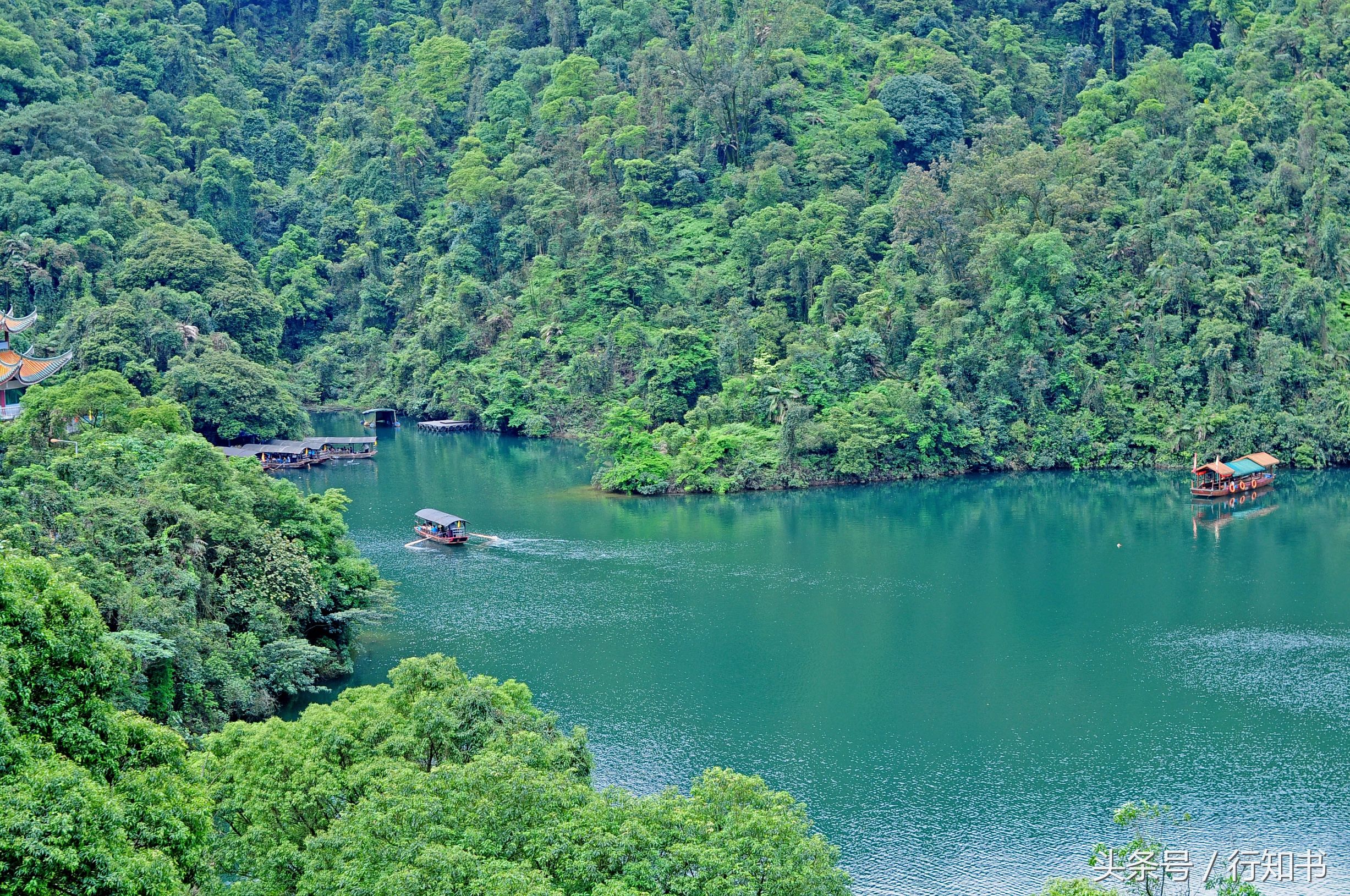 深圳旅游必去十大景点动物园,广州一日游最佳去处动物园