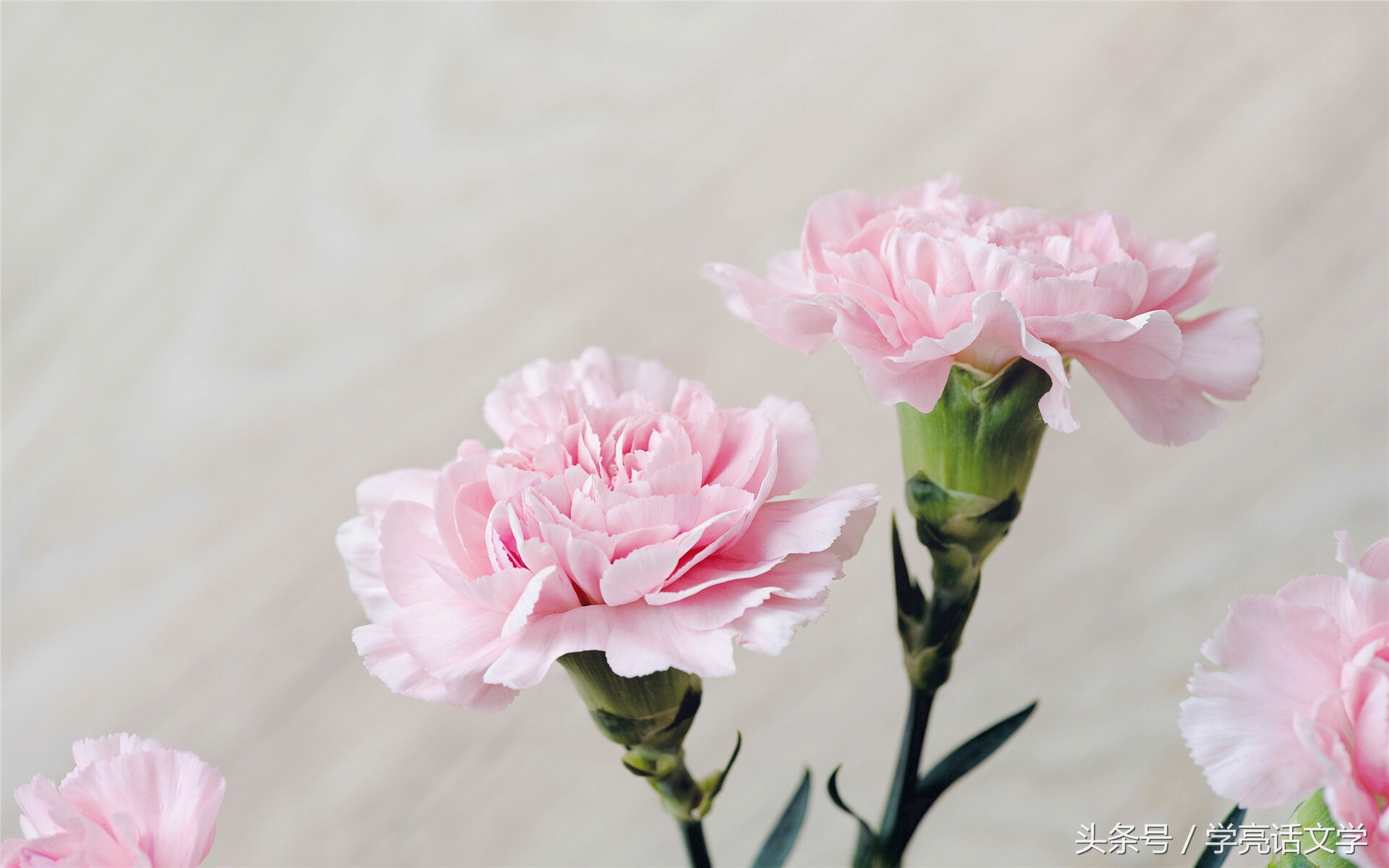 写作比喻的技巧和方法,十种写作手法例题