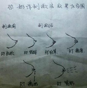 如何刺激奶阵最有效,奶阵是什么5招教你刺激奶阵