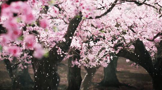 玄幻择天记类似小说,九本修仙小说推荐