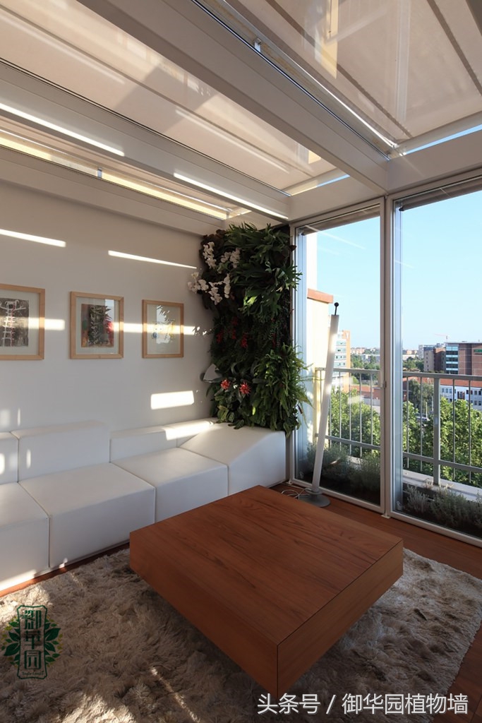 别墅植物墙设计费用,别墅大面积墙面设计